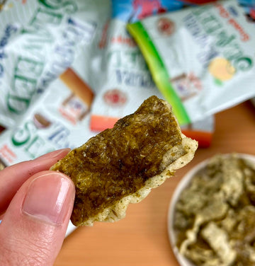 Japanese Tempura Seaweed Chips - Teriyaki Flavor | 0.95Oz X 5 Pack | Made In Japan By Swashbuckle Snacks