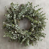 Fresh Eucalyptus Wreath Living Leaves 24'' [California] Baby Blue Variety [Shipped Overnight] for Front Door Natural Wreath for 