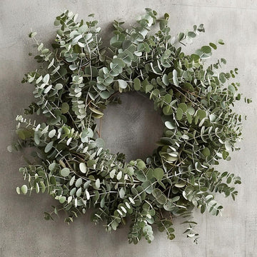 Fresh Eucalyptus Wreath Living Leaves 24'' [California] Baby Blue Variety [Shipped Overnight] for Front Door Natural Wreath for 