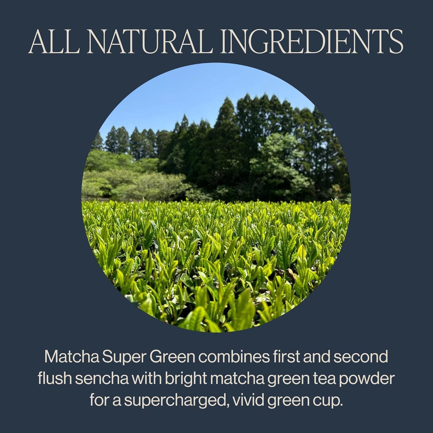 Rishi Tea Organic Super Green Tea Matcha - 15 Tea Bags