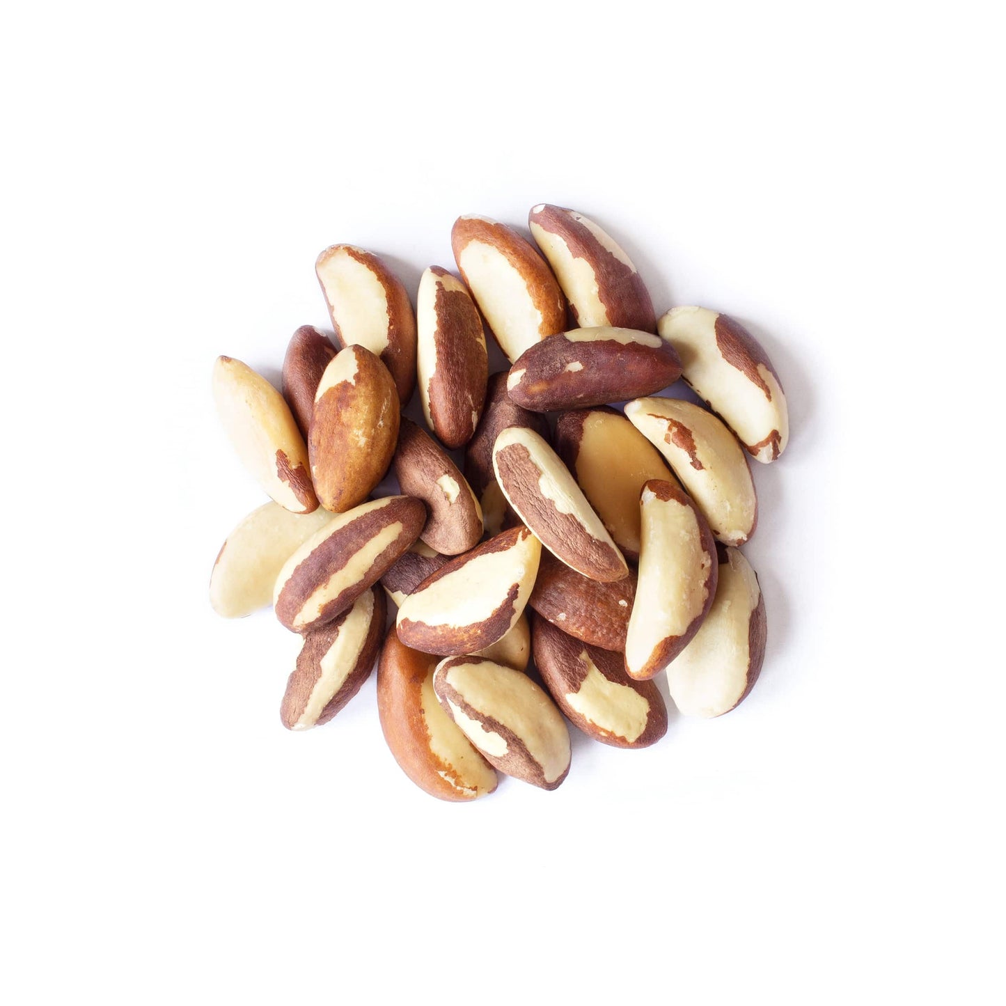Food To Live- Food To Live Organic Brazil Nuts, 12 Pounds Non-Gmo, Raw, Whole, No Shell, Unsalted, Kosher, Vegan, Keto, Paleo Fr