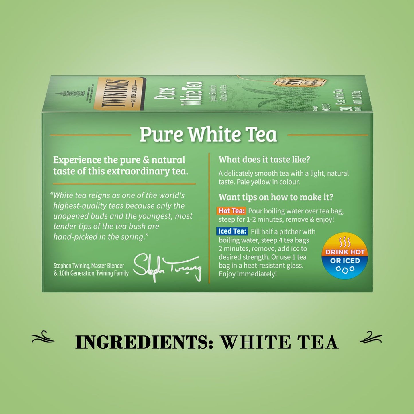 Twinings Pure White Tea Bags - Delicate Caffeinated Tea Made From Fresh White Tea Leaves, Perfect For Hot Or Iced Tea, 20 Count