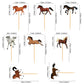 Ercadio 48 Pack Horse Cupcake Toppers Horse Racing Cupcake Picks Equestrian Race Theme Baby Shower Birthday Party Cake Decoratio