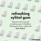 Xyloburst Xylitol Chewing Gum, Sugar Free, Gluten Free, Keto Friendly, 500-Count Bag