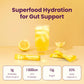 Blume SuperBelly Hydration Packets, Sugar-Free, with Prebiotics & Probiotics, 15 Sticks, Lemon Ginger, 2.1 Ounce