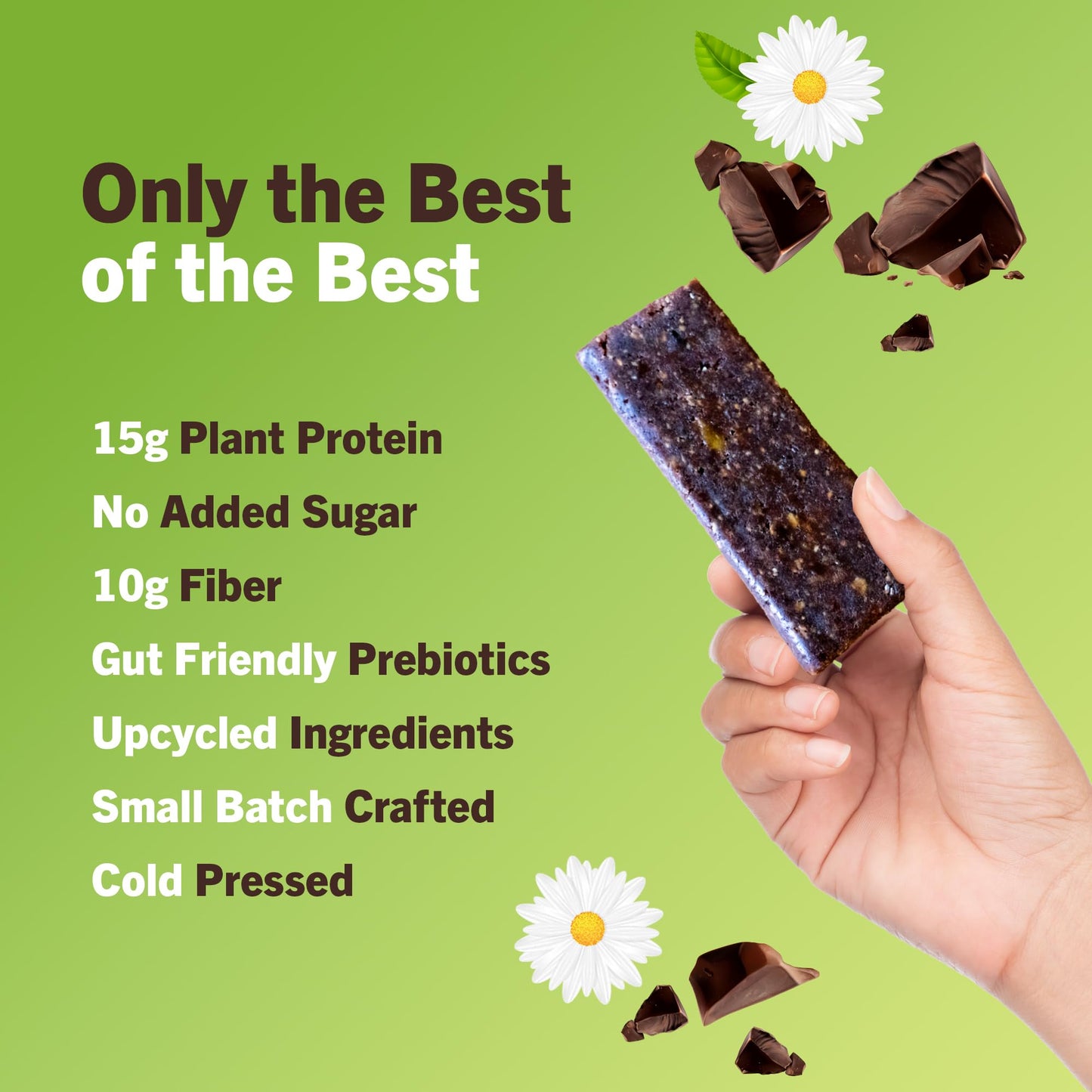 Amrita Chocolate Brownie Vegan Protein Bars - 15g Plant Based Protein, Gluten Free, 12 Count Pack