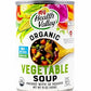 Health Valley Organic Vegetable Soup No Salt Added -- 15 Fl Oz