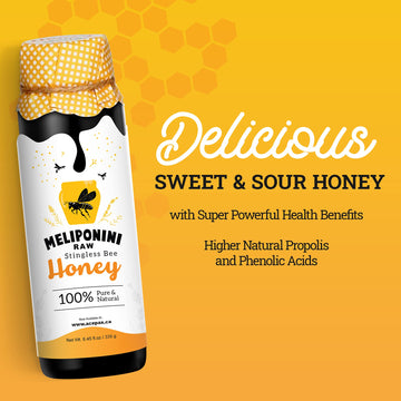 Meliponini - Stingless Bee Honey, Antioxidant-Rich Raw Honey, A Powerful Alternative To Manuka Honey, Tasty Sweet And Sour Pure