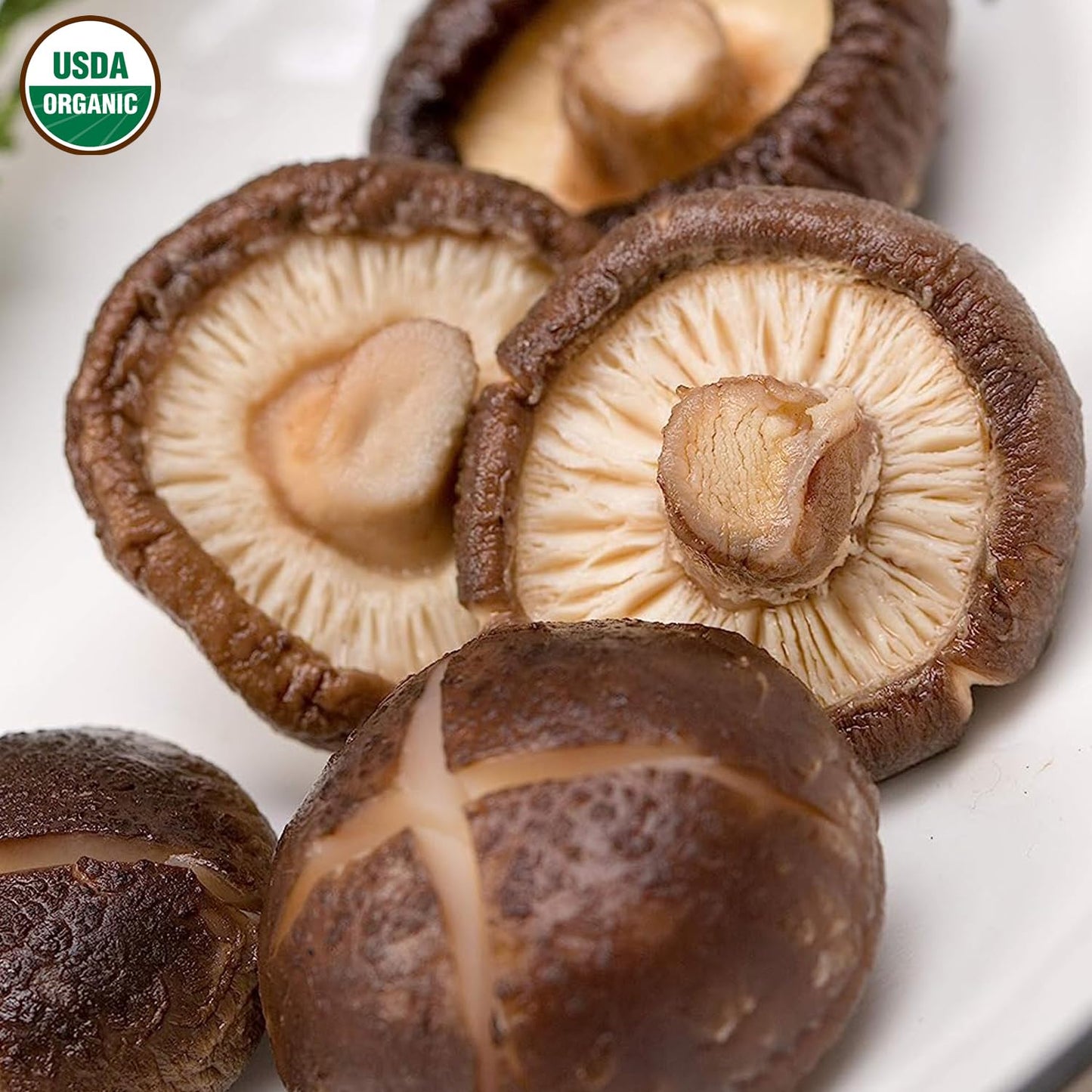 VIGOROUS MOUNTAINS USDA Organic Dried Shiitake Mushrooms Dry Dehydrated Mushrooms for Cooking 4.23oz, 120g