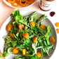 Dress It Up Dressing Red Wine Vinaigrette Salad Dressing, 10 Fl Oz, Pack of 1, Model 0851887004267