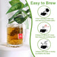 TEARELAE Guava Leaves Tea Bags - 100% Pure Natural - Caffeine-Free - 70 Count