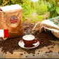 Nicoletti Coffee Espresso (100% Arabica M22 Roast) 2Lb Organic Whole Beans