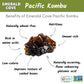 Emerald Cove Kombu Sea , Non-GMO Dried Sea  Pieces, 1.76 Ounce (3 Pack), Brown