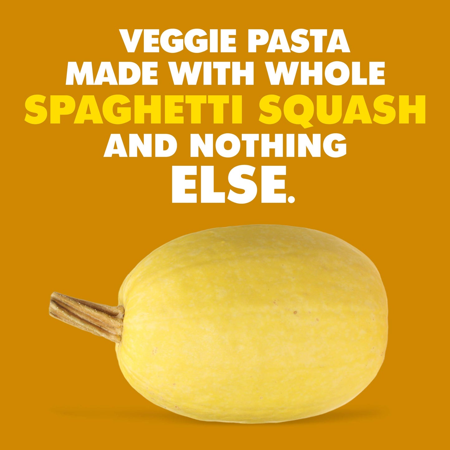 Solely Organic Dried Spaghetti Squash 1.76 Oz  One Ingredient: Spaghetti Squash  Naturally Gluten Free  Non-Gmo  Low Carb And Ke