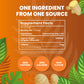 Cederberg Organic Ginger Tea - 100 Tea Bags, Eco-Friendly, Non-GMO, Caffeine Free, Zero Sugar, Herbal Tea, 1 Count