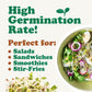 Food to Live Organic Salad Mix of Sprouting Seeds, 8 Ounces - Non-GMO Broccoli, Radish, Clover, Alfalfa. Rich Germination Rate,
