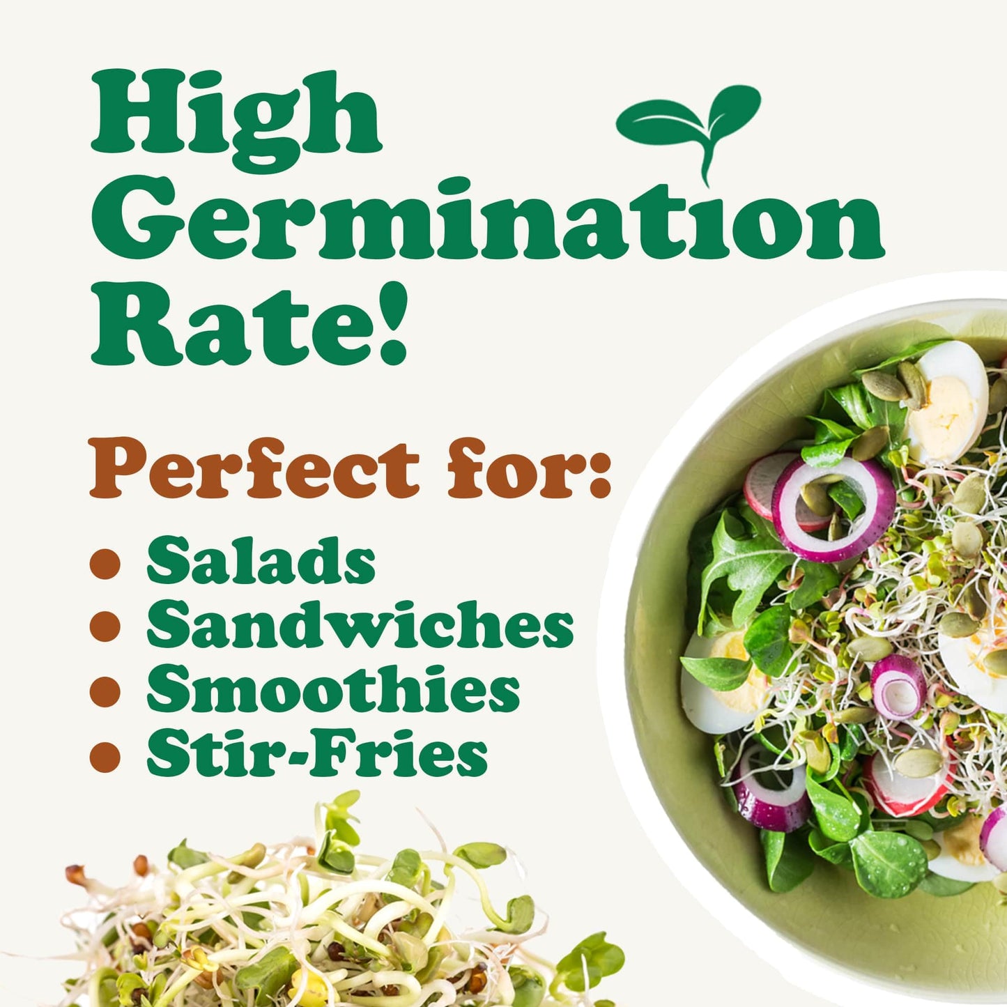 Food to Live Organic Salad Mix of Sprouting Seeds, 8 Ounces - Non-GMO Broccoli, Radish, Clover, Alfalfa. Rich Germination Rate,