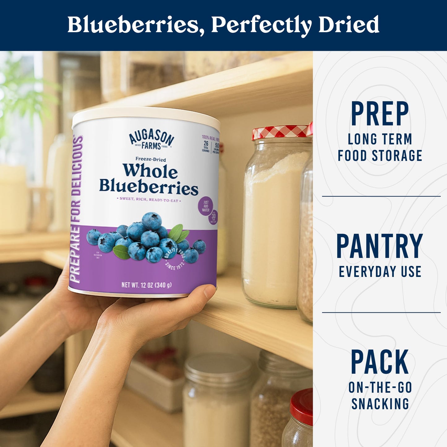 Augason Farms Freeze Dried Whole Blueberries 12 Oz No. 10 Can