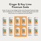 Something & Nothing Ginger & Lime Flavoured Sparkling Water | Lightly Carbonated  Full Flavoured with Added G & Lemon Juice | Vegan & Low Calorie Soda | 12 Fl Oz Cans (Pack of 12)