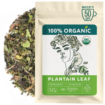 Plantain Leaf Organic (4 oz.) - Broadleaf Plantain Tea Loose Leaf (Plantago Major) - Llanten Planta Medicinal - Herbal Tea for D