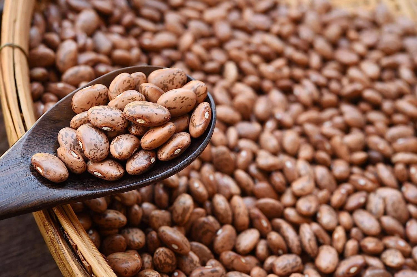 Food to Live Organic Pinto Beans, 1 Pound Non-GMO, Frijioles Pintos, Whole Dried Beans, Sproutable, Vegan, Kosher, Bulk. High in