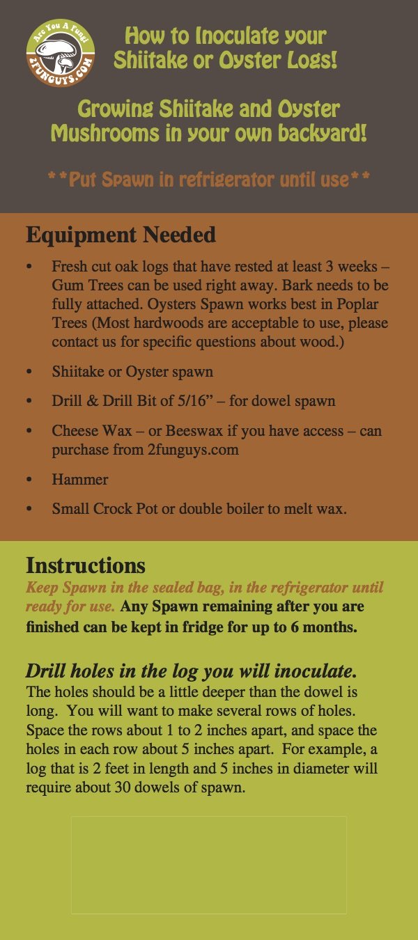 100 Shiitake 100 Mushroom Plug Spawn Edible Mycelium Plugs