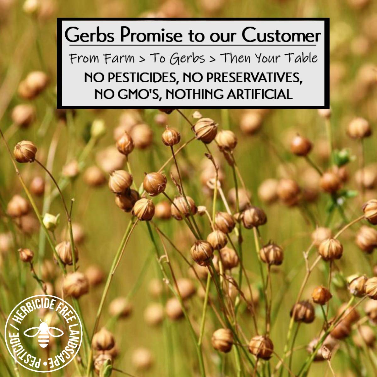 Gerbs Flax Seed Meal 2 Lbs. Premium Grade | Freshly Harvested & Packaged In Resealable Bulk Bag | Non-Gmo, Keto & Paleo Cleared | Improves Digestion & Relieves Constipation | Gluten Peanut Free