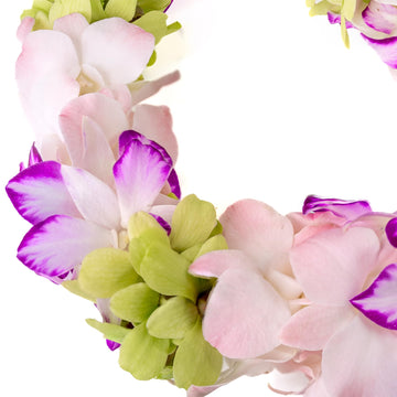 Fresh Cut Orchids Flower Leis Pink, Fresh Orchids, Gorgeous Orchids: Long-Lasting Leis Made Of Fresh Cut Purple, Lavender, And P