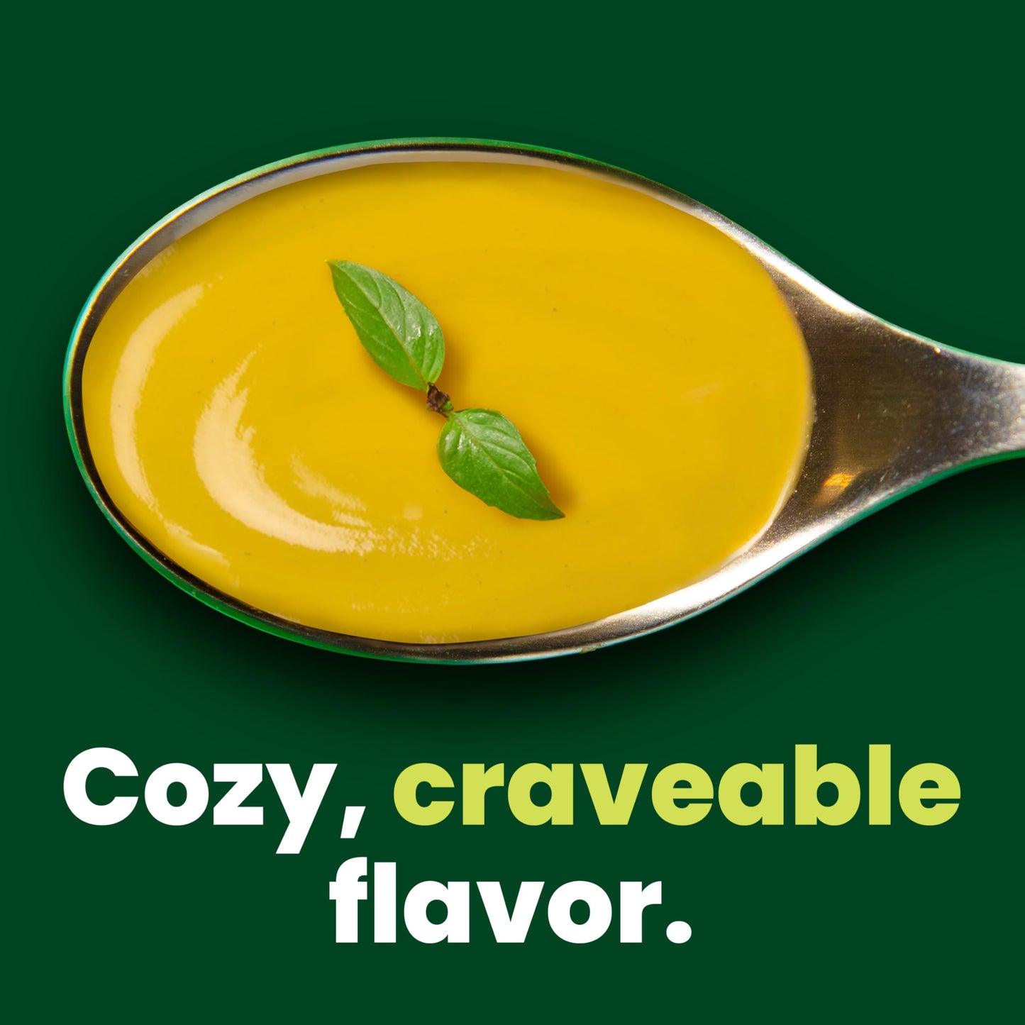 Pacific Foods Organic Cashew Carrot Ginger Soup, 32 oz Carton (Pack of 12)