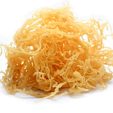 100% Natural Jamaican Irish Sea Moss (16oz) - Non GMO No Preservatives, Organic and Wildcrafted - Improve Skin Health - Boost Im