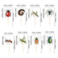 Ercadio 32 Pcs Insect Theme Cupcake Toppers Ladybugs Millipedes Grasshoppers Spiders Ants Cupcake Pick Decorations For Insect Th