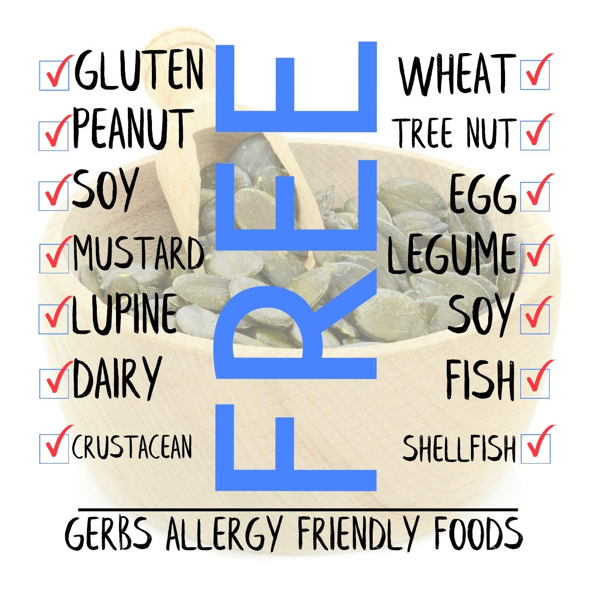 Gerbs Lightly Sea Salted Pumpkin Seed Kernels 14 Oz | Top 14 Allergy Free Food | Protein Rich Snack Food | Use In Salads, Yogurt, Oatmeal, Trail Mix | Grown In Canada, Packaged In Usa | Vegan, Kosher