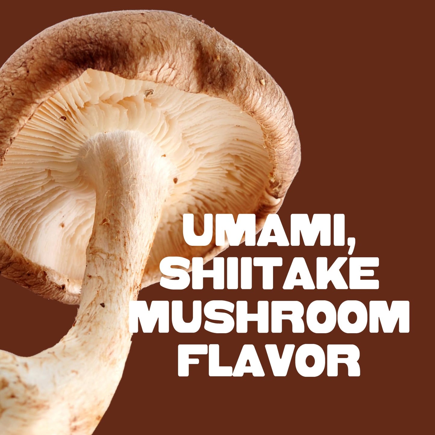 Pan'S - Mushroom Jerky Original - Case Of 6-2.2 Oz