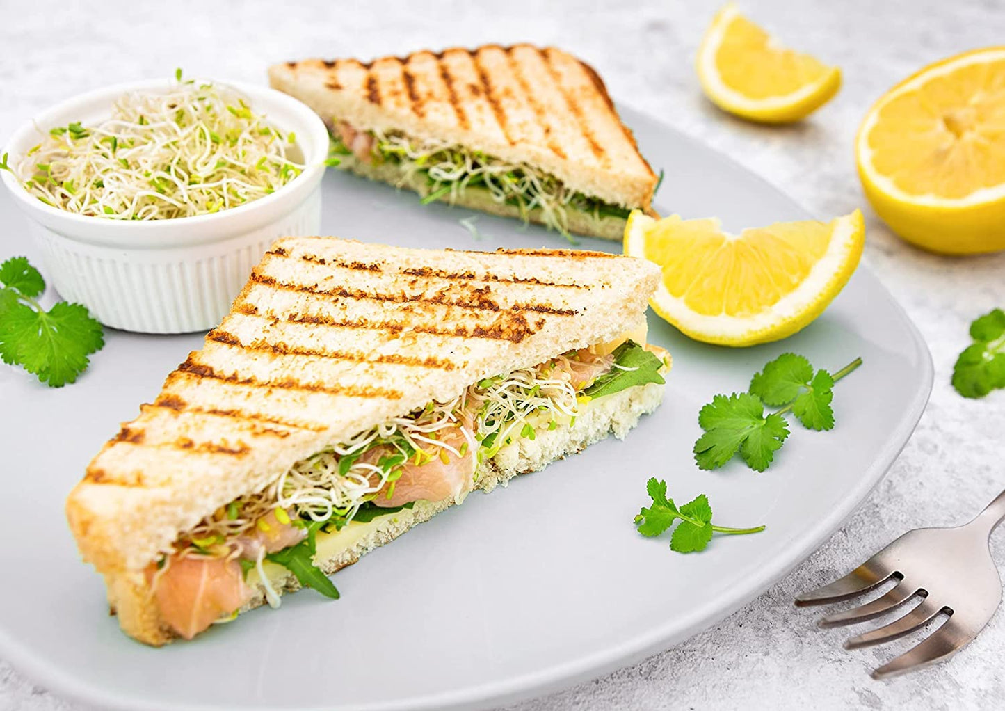 Food to Live Alfalfa Seeds for Sprouting, 20 Pounds - Edible Seeds, Pure, Vegan, Kosher, Bulk. Rich in Vitamin K & C. High Germi