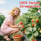 10oz Freeze Dried Strawberry Pieces - Dehydrated Strawberry Snack - Perfect for Smoothies, Yogurt, Baking, and Casual Snacks (10