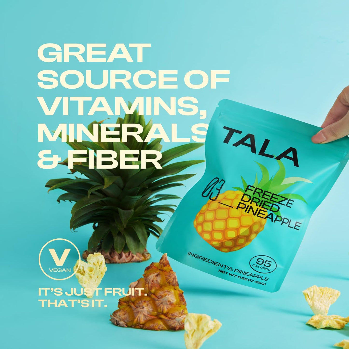 Tala, Freeze-Dried Fruit, Fruit Snack, Vegan | No Sugar Added | Pack Of 3 (0.88 Ounce Each)