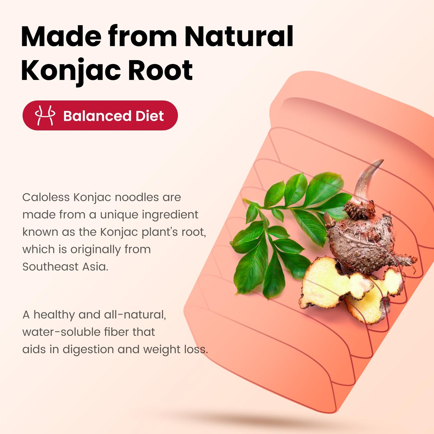 Caloless Konjac Shirataki Noodles, 6 Pack Low Calorie Konjac Pasta Noodles, Low Carbs Beef Noodles Soup, Healthy Noodle Keto & P