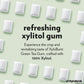 Xyloburst Sugar-Free Green Tea Gum - 100 Count Jar - Non-GMO, Vegan, Keto Friendly Chewing Gum