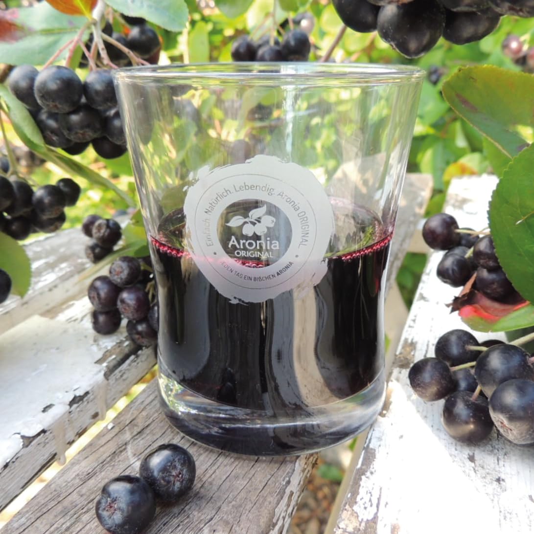 Aronia ORIGINAL Organic Aronia Berry Juice Box 101.4 Fl Oz | 100% Pure Aronia Fruit Juice, No Added Sugar, Not From Concentrate