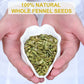 TEARELAE Fennel Tea Bags - Herbal Tea - Non-GMO, Caffeine-Free - 4g x 40 Count
