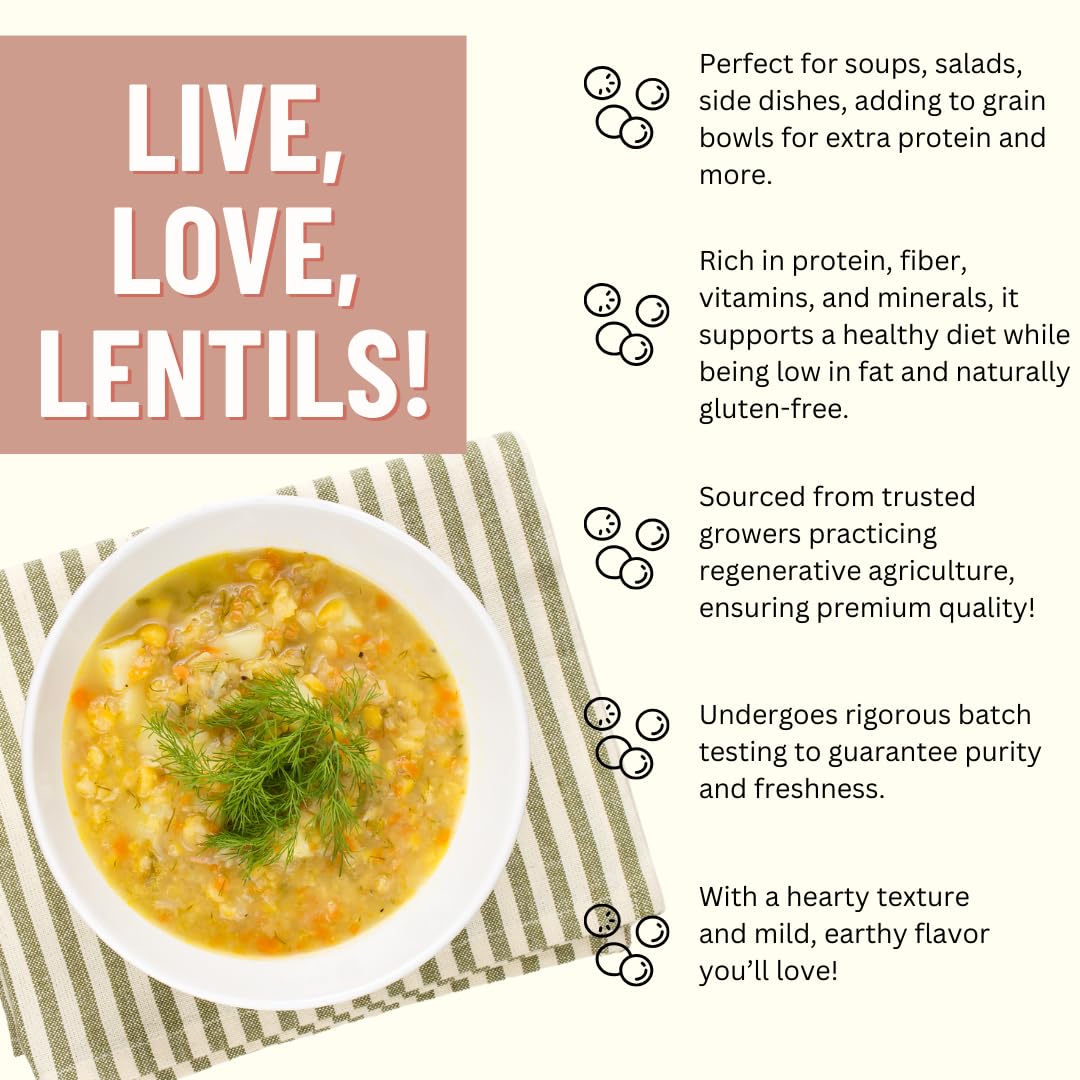Mountain High Organics Certified Organic Green Lentils, 400 Ounce (Pack of 1) - Healthy, Nutritious Legume for Cooking and Baking