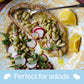 Primary Beans - Organic Flageolet Dried Beans - Vegetal, Buttery, & Firm - Favorite In France - Pair With Fennel, Parsley, Lamb,