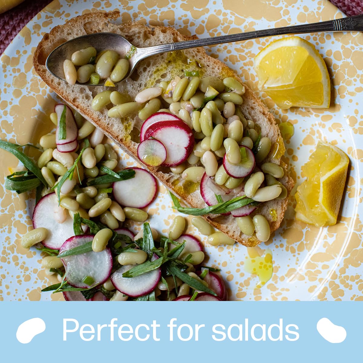 Primary Beans - Organic Flageolet Dried Beans - Vegetal, Buttery, & Firm - Favorite In France - Pair With Fennel, Parsley, Lamb,