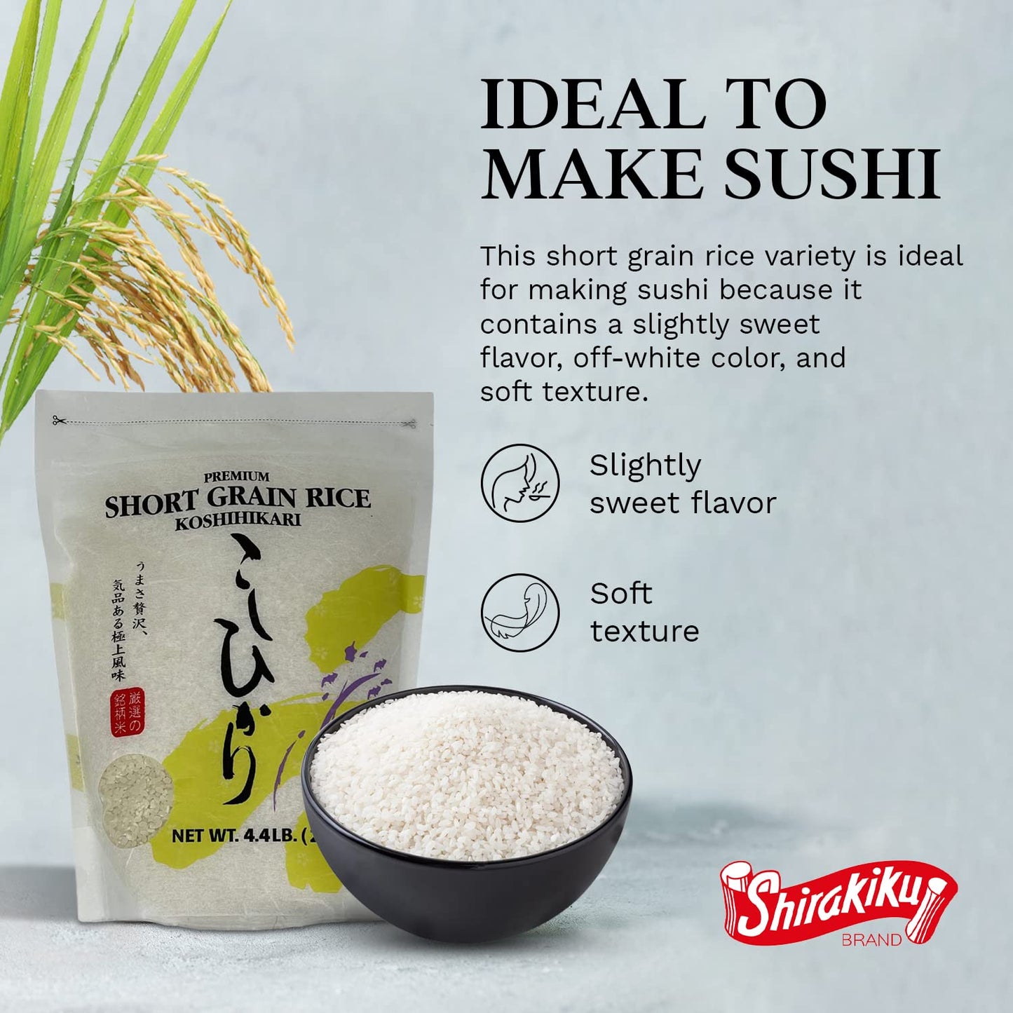 Shirakiku Dried Grains & Rice - Japanese Short Grain White Koshihikari Rice - Uncooked Premium Quality Sweet Sticky Sushi Rice, 4.4 Pounds Bag