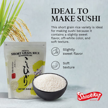 Shirakiku Japanese Short Grain Koshihikari Rice - Premium Sticky Sushi Rice, 4.4 Pounds
