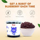 Fanale Popping Boba Pearls for Bubble Tea - Blueberry Flavor - 7 lb Bursting Boba Pearls for Shakes, Dessert, Smoothies