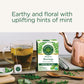 Traditional Medicinals Organic Moringa Tea, With Spearmint & Sage, Usda Certified Organic, Non-Gmo, 16 Count (Pack Of 6)