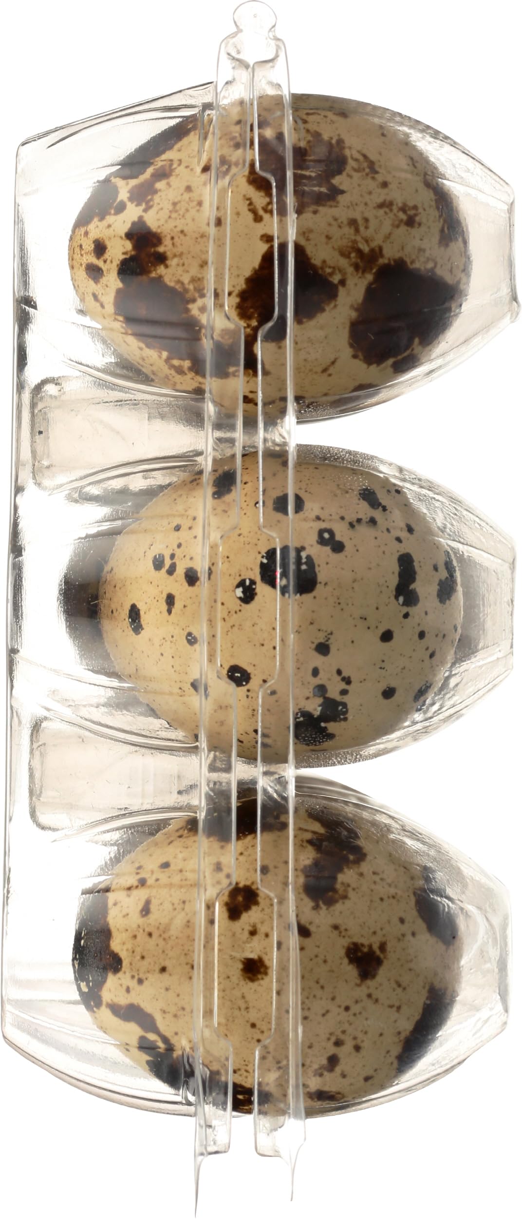 The Farmstand Quail Eggs, 12 Ct