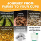 HANDPICK  Turmeric Ginger Tea  100 Eco-Conscious Tea Bags | Caffeine Free  Gluten Free | 100% Pure Herbal Blend - Savory & Spicy