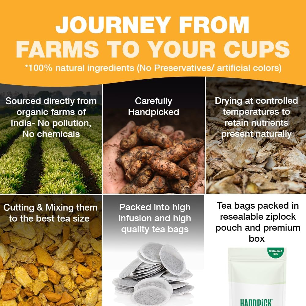 HANDPICK  Turmeric Ginger Tea  100 Eco-Conscious Tea Bags | Caffeine Free  Gluten Free | 100% Pure Herbal Blend - Savory & Spicy